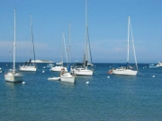Whites Catalina 2005 04671.JPG: 2005/07/25 - Catalina - 2005
